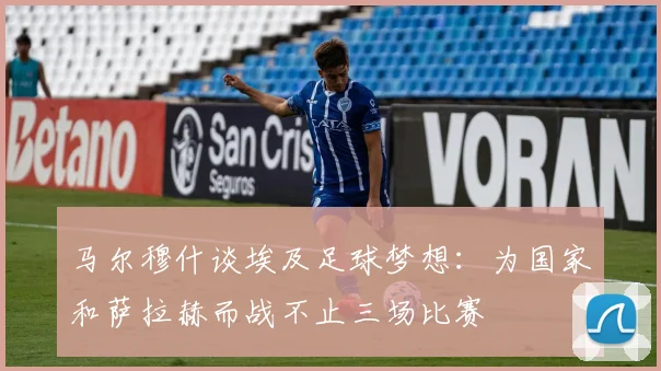 马尔穆什谈埃及足球梦想：为国家和萨拉赫而战不止三场比赛