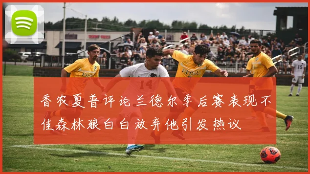 香农夏普评论兰德尔季后赛表现不佳森林狼白白放弃他引发热议